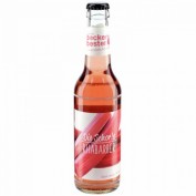 Beckers Bester Rhabarber Schorle 4x0,33L