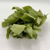 Basilikum thai frisch 40g