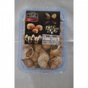 Frische Wellhornschnecke  500G